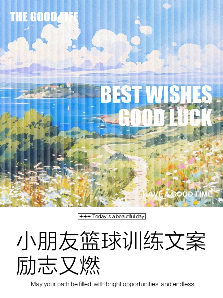 篮球训练新闻稿_0